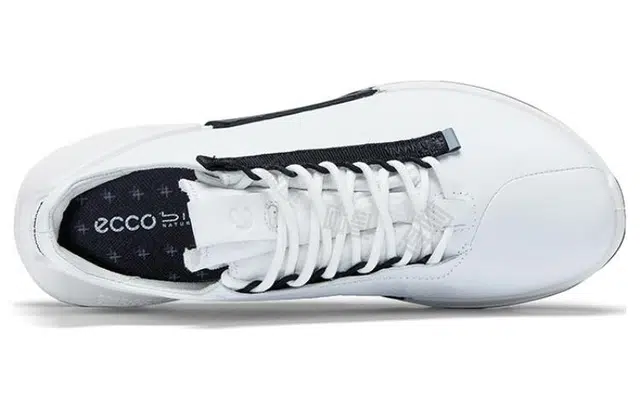 ecco 2.0