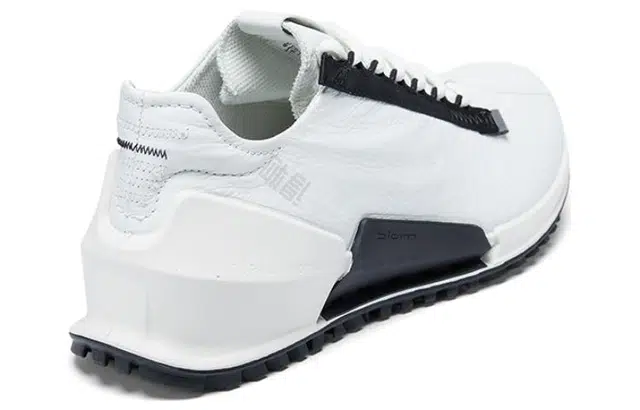 ecco 2.0