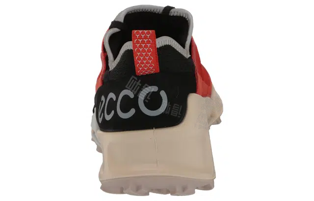 ecco 2.1