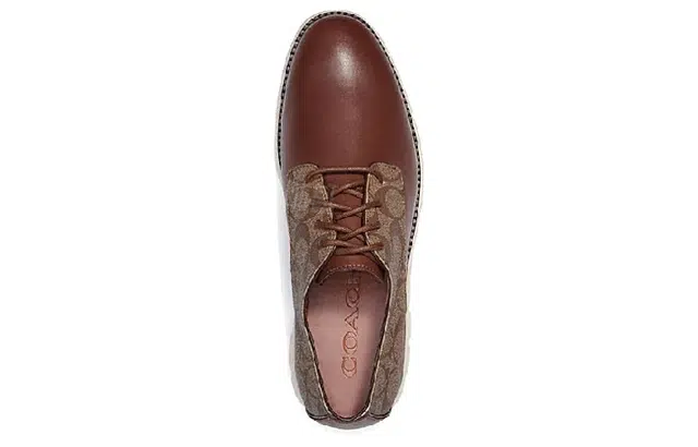 COACH Hybrid