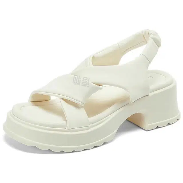 DAPHNE PU 5cm
