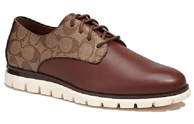 COACH Hybrid
