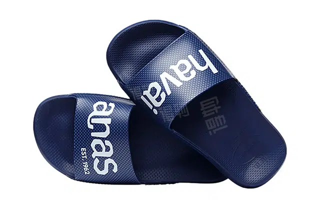 Havaianas Logomania