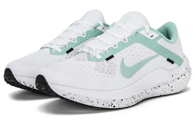 Nike Air Winflo 10