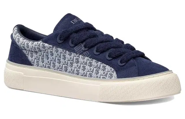 DIOR B33