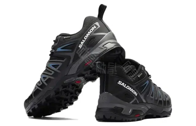 SALOMON X Ultra Pioneer GTX