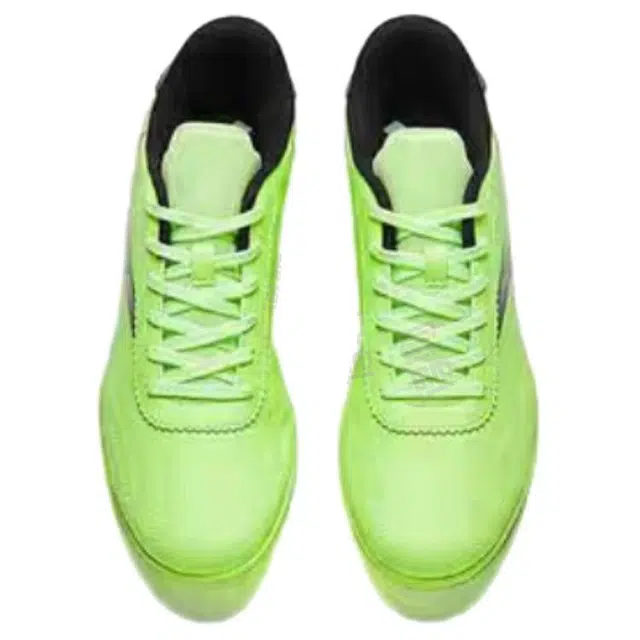 Anta