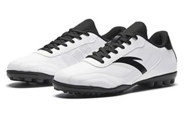 Anta