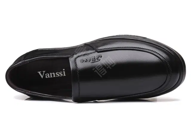 VANSSI