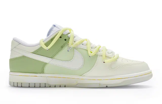 Nike Dunk Low 811 GS