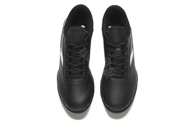 Anta