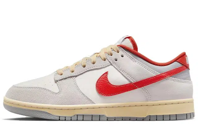Nike Dunk Low Roaming Plan