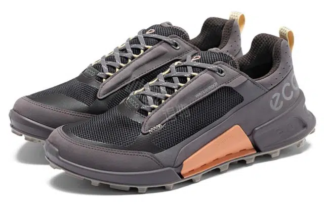ecco 2.1