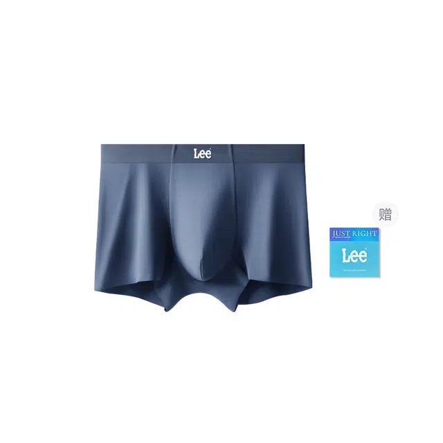 Lee 1