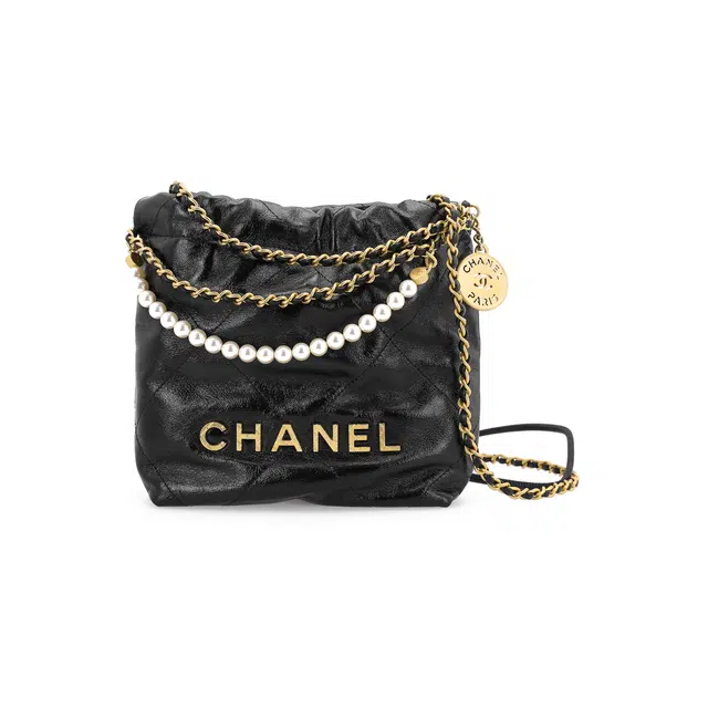 CHANEL 22 Bag