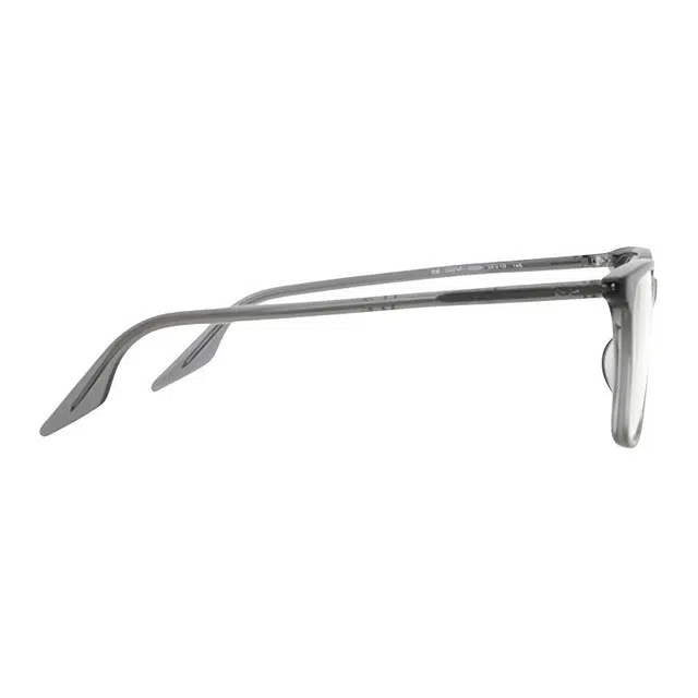 RayBan