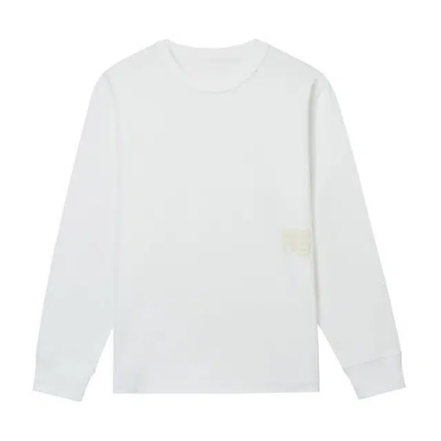 alexander wang T