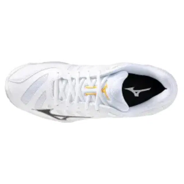 Mizuno WAVE VOLTAGE