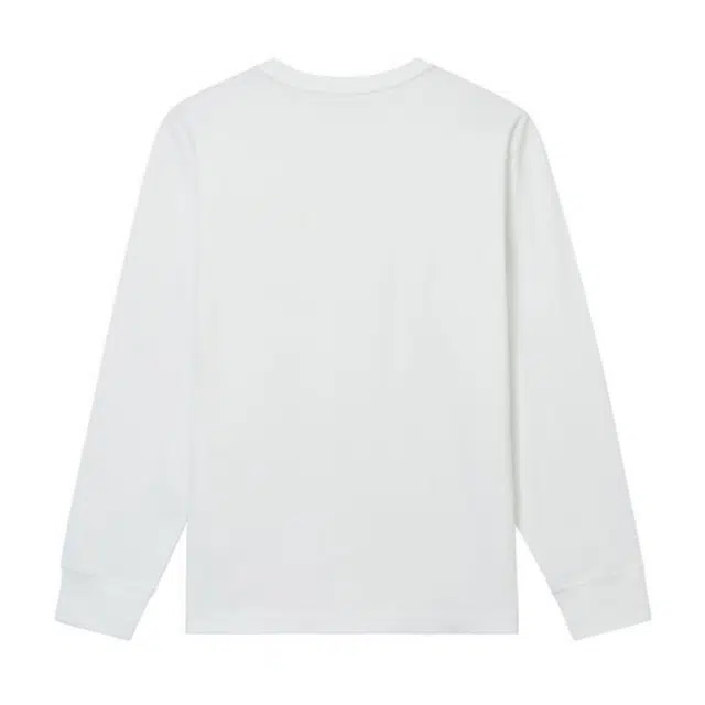 alexander wang T