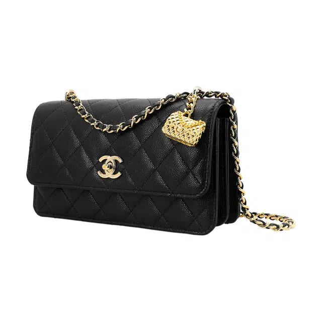 CHANEL WOC 23s