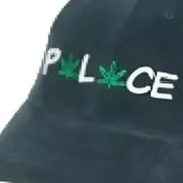 PALACE -