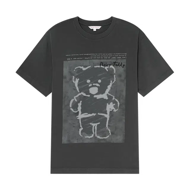 NOISY TEDDY T