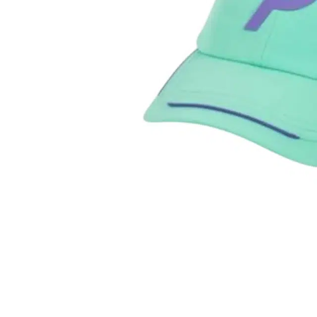 PALACE P -