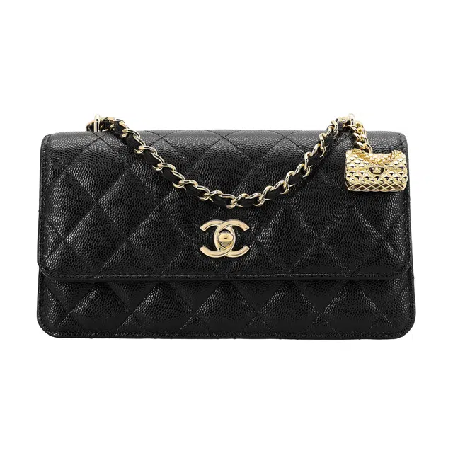 CHANEL WOC 23s