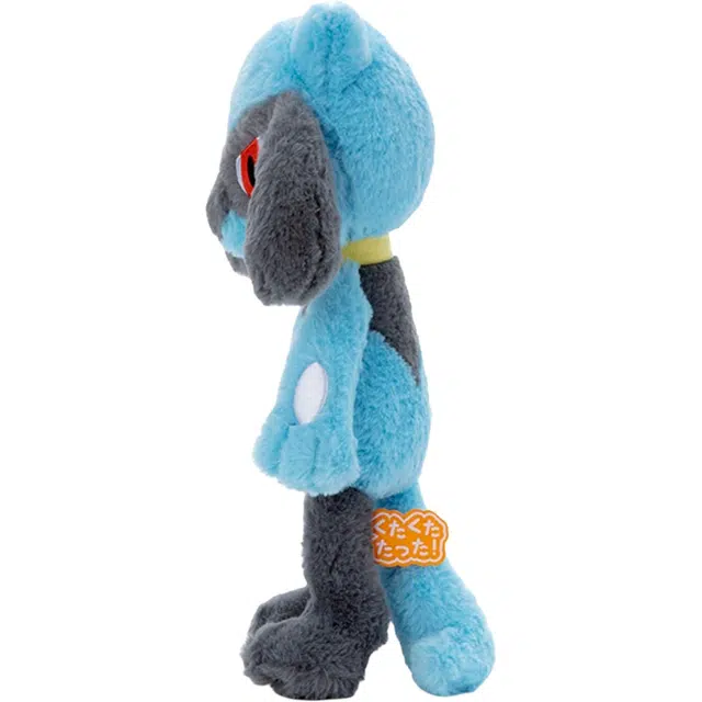 POKEMON 30cm