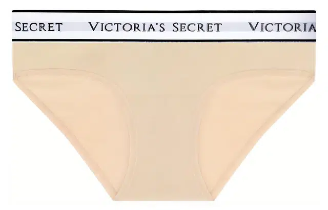 Victoria's Secret Logo 1
