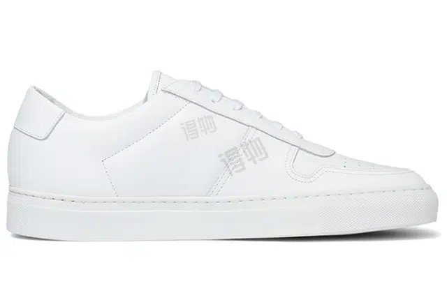 COMMON PROJECTS BBal