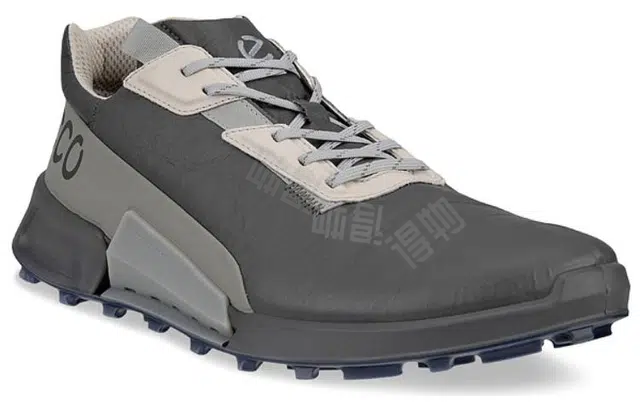 ecco 2.1