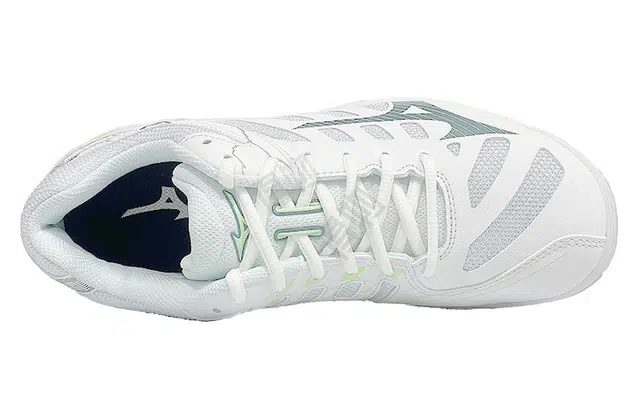 Mizuno Wave Voltage