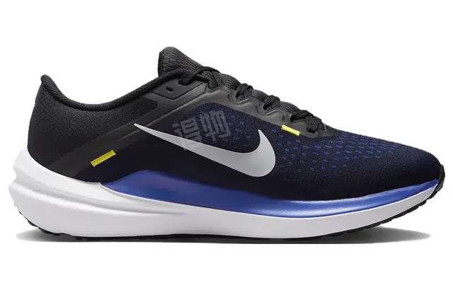 Nike Air Winflo 10