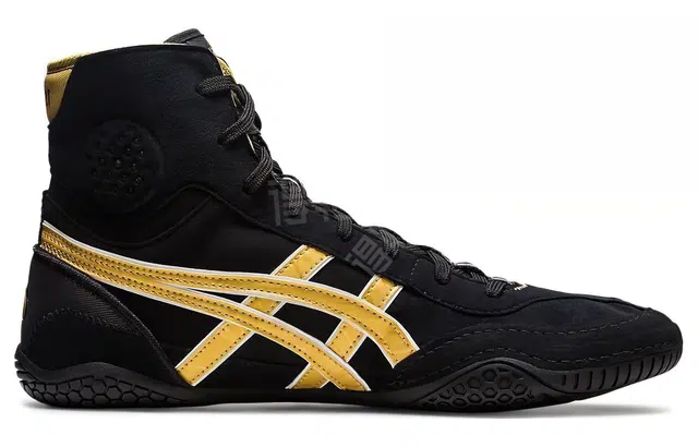 Asics Dan Gable Evo 3