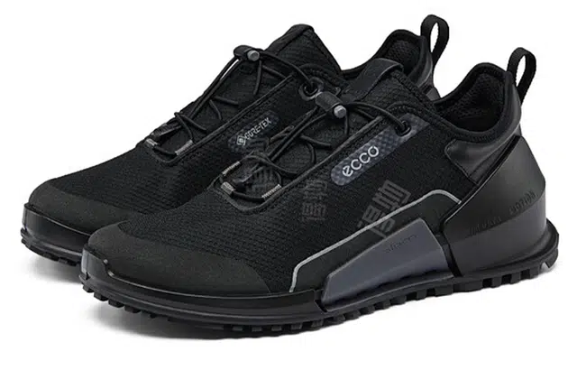 ecco 2.0