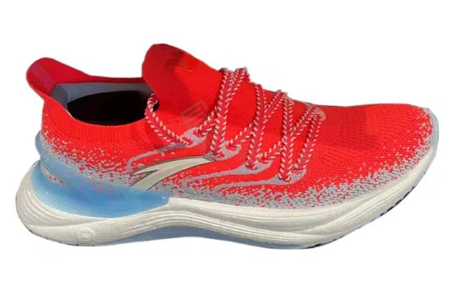 Anta 2.0 Pro