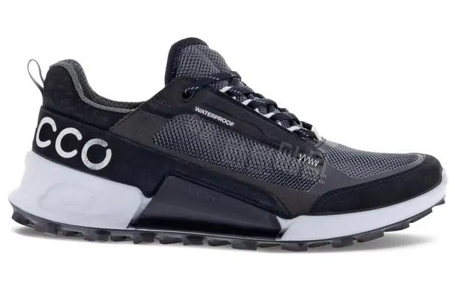 ecco 2.1
