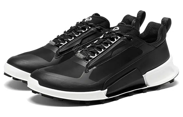 ecco 2.1