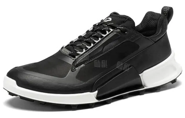 ecco 2.1