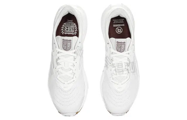 Reebok Floatride Energy 5