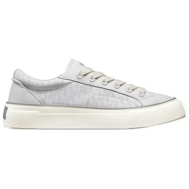 DIOR B33
