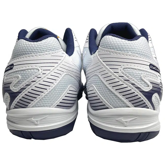 Mizuno