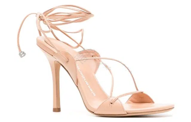 alexander wang Lucienne 10cm