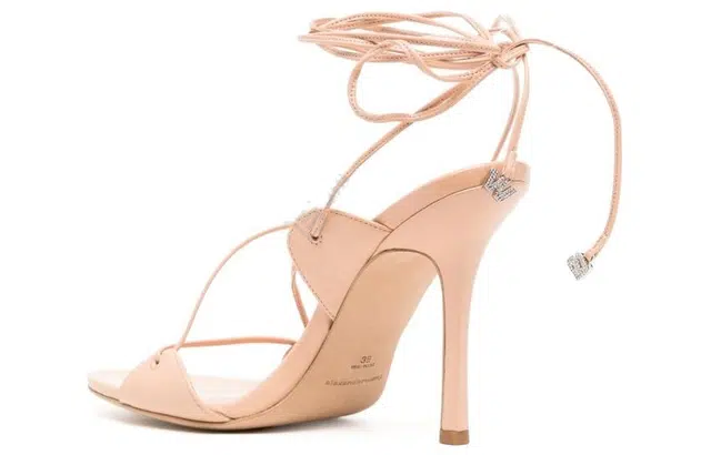 alexander wang Lucienne 10cm