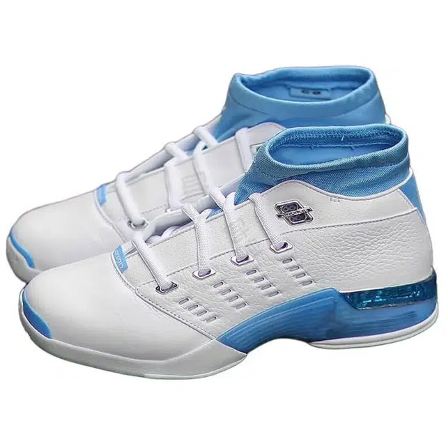 Jordan Air Jordan 17