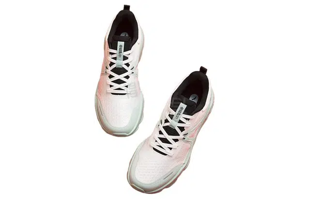 Anta