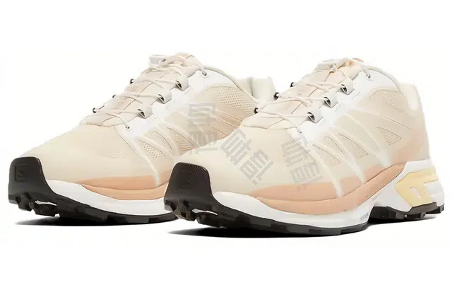 SALOMON XT-Wings 2 Turtle Dove