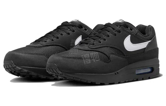 Nike Air Max 1