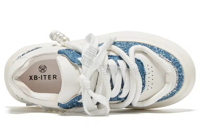 XB-ITER
